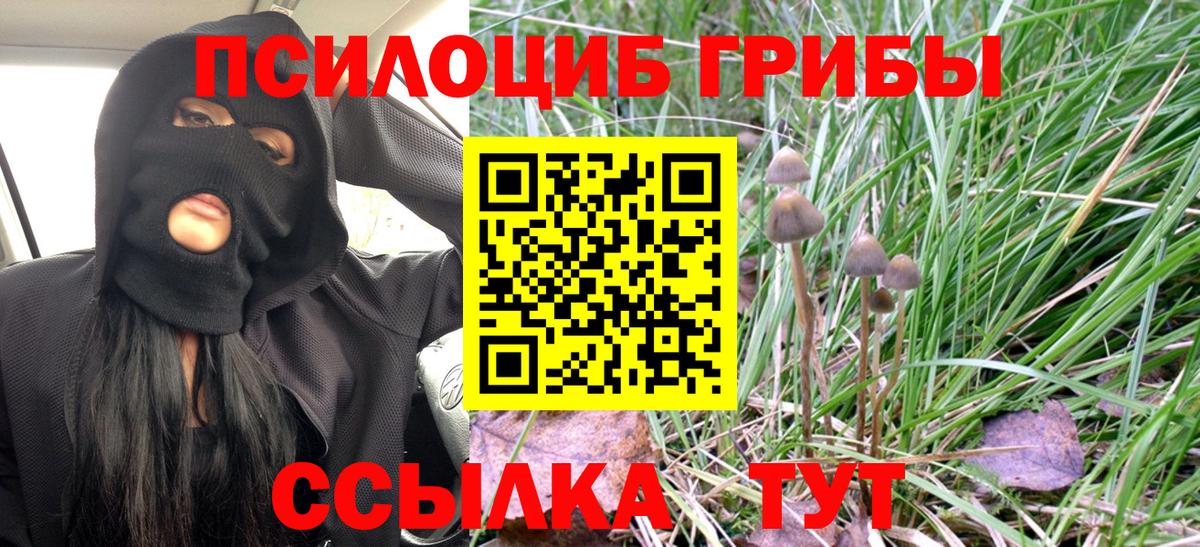 Псилоцибиновые грибы ЛСД  Вход с VPN  где продают   Архангельск 